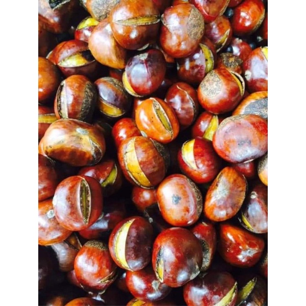 HÚT CHÂN KHÔNG Giao đi tỉnh ạ