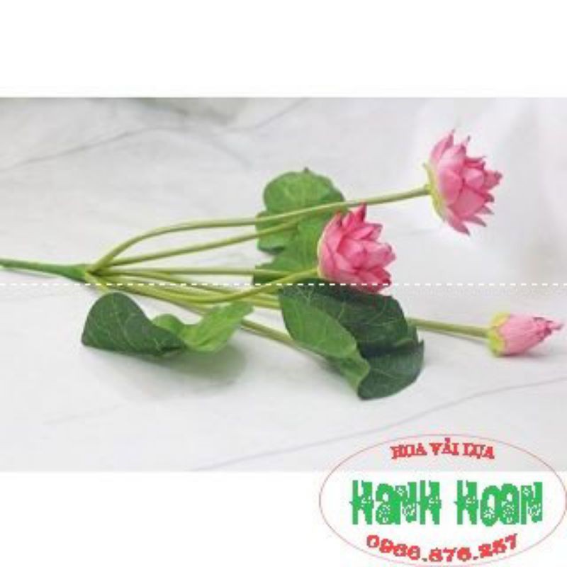 Hoa sen cạn nhỏ dài 43cm - Hoa lụa trang trí