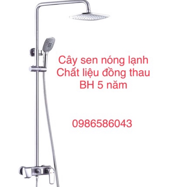 SEN CÂY ROLIX NÓNG LẠNH CHẤT LIỆU ĐỒNG THAU CAO CẤP - HÀNG CHÍNH HÃNG