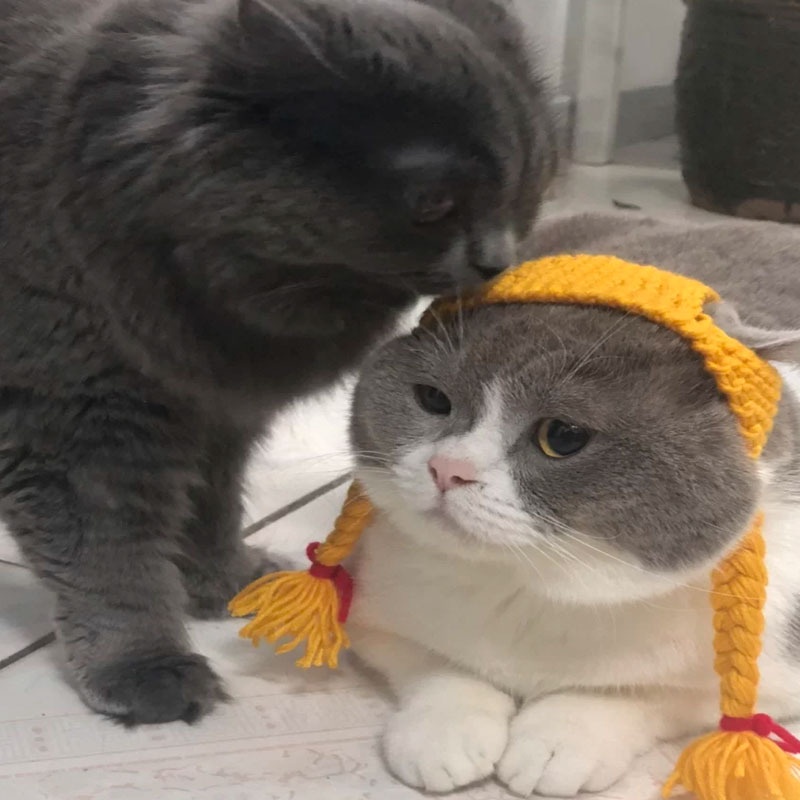 Mũ len giả tóc bím 2 bên cho thú cưng chó mèo hóa trang dễ thương M02