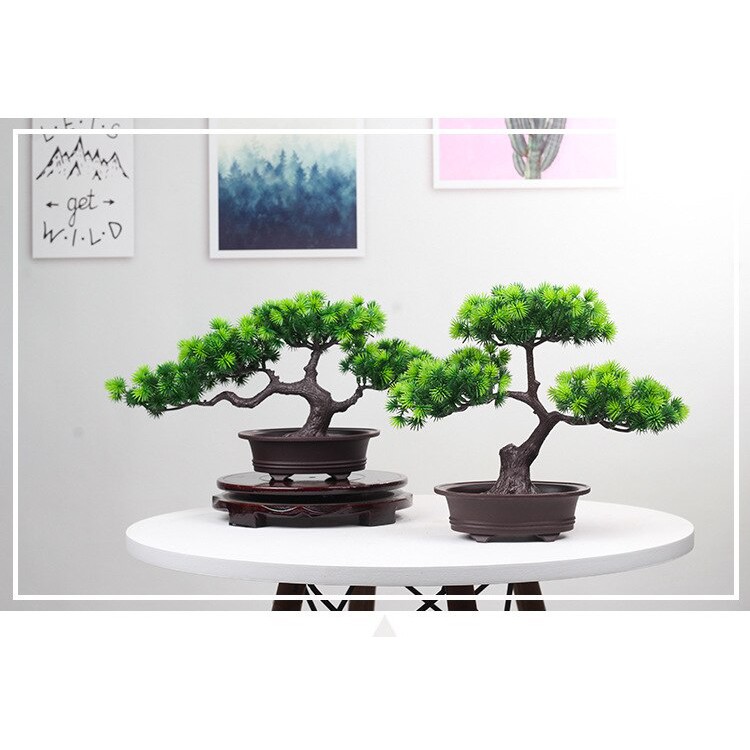 Chậu cây cảnh giả, cây thông bonsai xanh mát giống thật trang trí bàn, kệ tủ, tiểu cảnh Anzzar-02