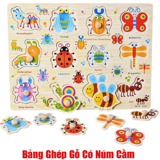 Đồ chơi bảng núm gỗ loại 20*30cm nhiều chủ đề cho bé