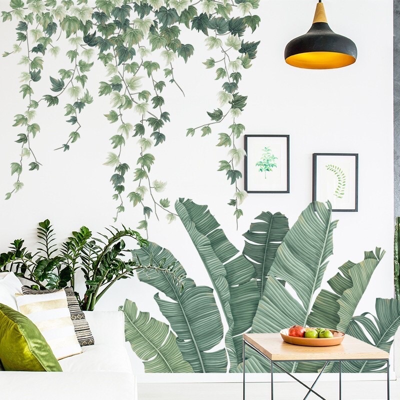 Decal dán tường khóm chuối dây leo [giá sỉ] Decal dán tường Hàn Quốc