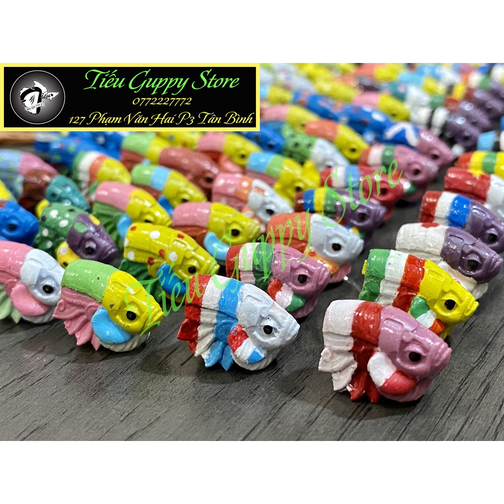 Cây Kè Cá Betta Nhiều Màu Sắc (Mẫu chọn ngẫu nhiên)