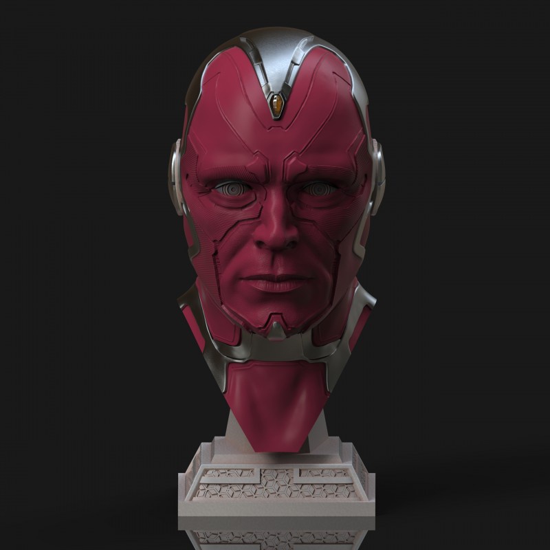 File in 3D Vision Bust