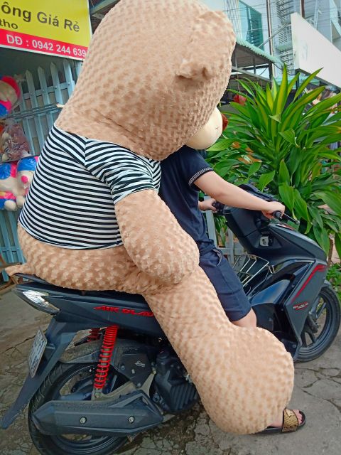 Gấu bông teddy khổ vải 2M cao 1m8