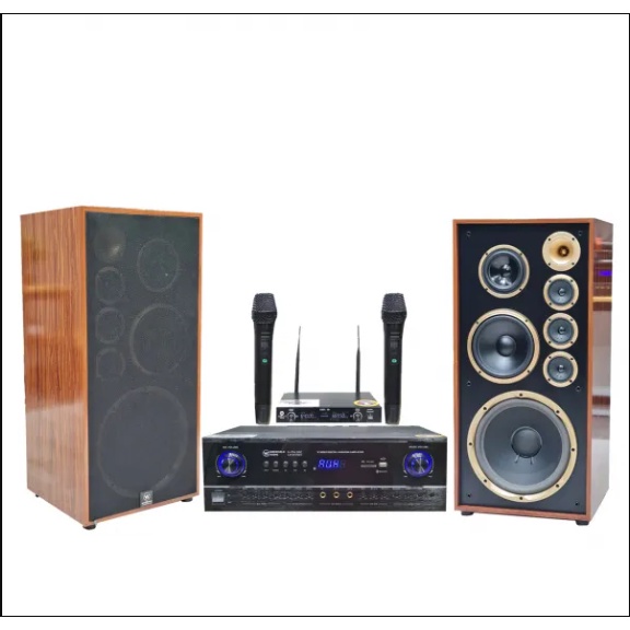 Bộ dàn karaoke gia đình loa Weeworld W921pro 15,5 triệu