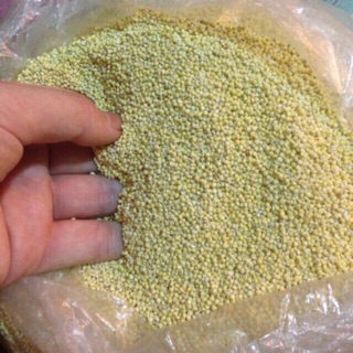 Hạt kê nếp 0.5kg hoặc 1kg