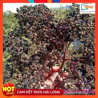 50g hạt mắc khén Loại thơm đặc biệt