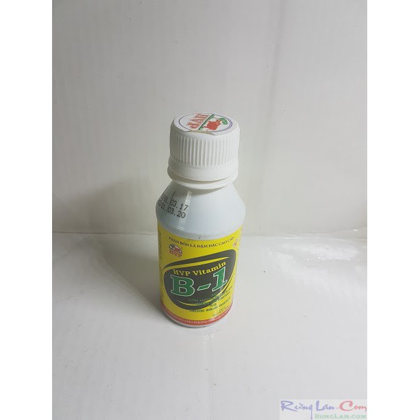 B1 HVP chai 100ml. hàng đầu trâu 100ml