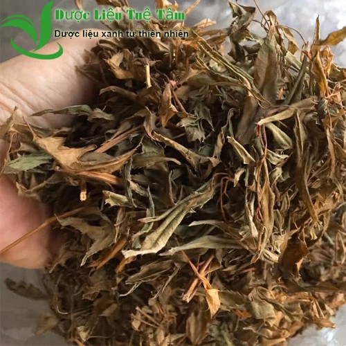 500g lá đinh lăng khô - cao cấp thơm nức