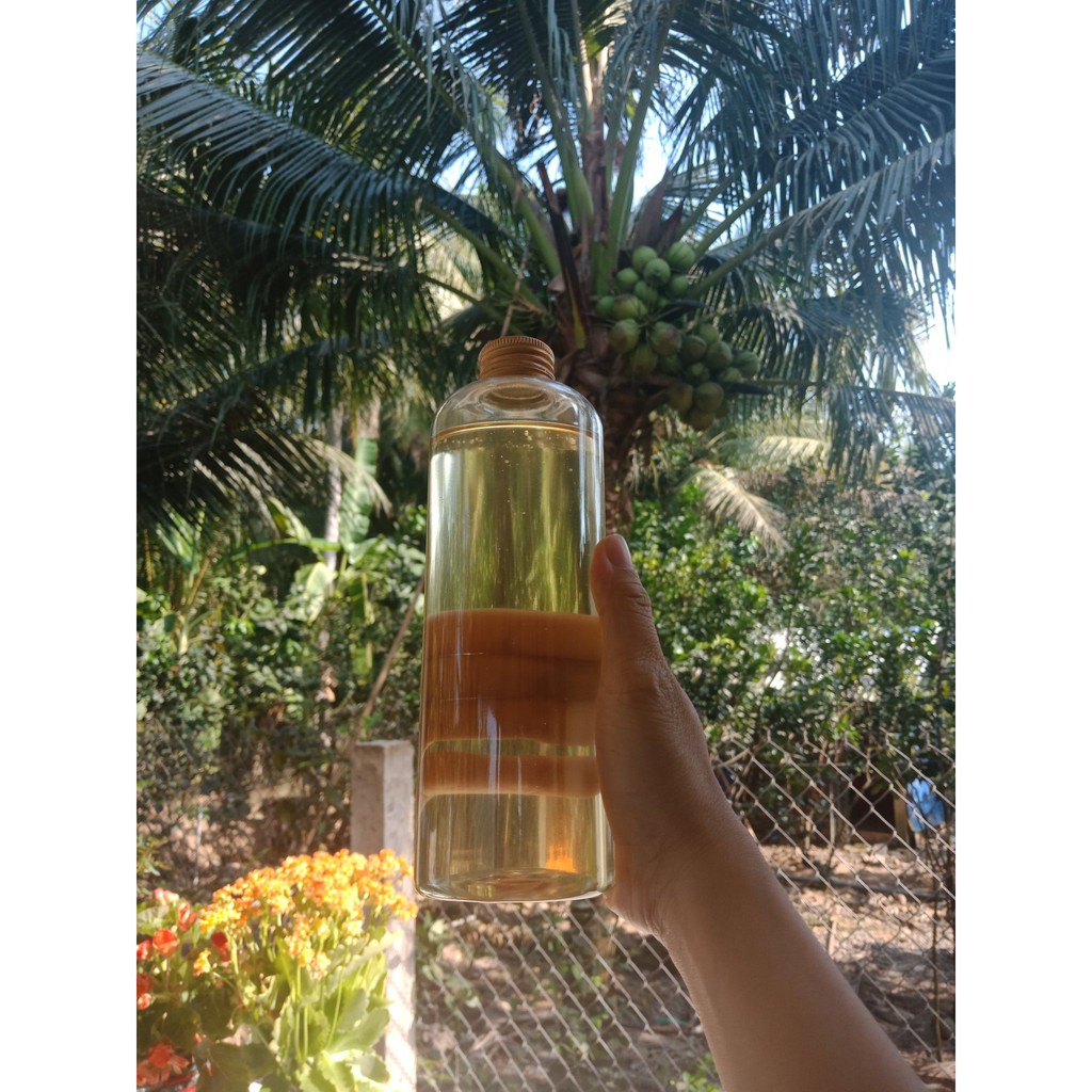 Combo 5 Chai Nhựa PET 500ml Chai  Đựng Mật Ong Chai Đựng Dầu Dừa | BigBuy360 - bigbuy360.vn