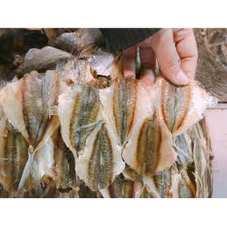 Cá chỉ vàng 1.9k