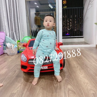 Bộ thun lạnh peekaboo chất loại 1