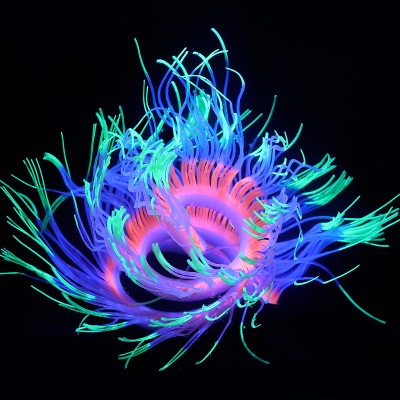 San Hô Silicon Mềm Trang Trí Bể Cá Anemone
