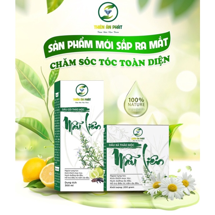 Dầu gội thảo mộc ngăn gãy rụng Mẫu Liên phục hồi tóc hư tổn, kích thich mọc tóc, Không gàu ngứa, hỗ trợ trị nấm đầu