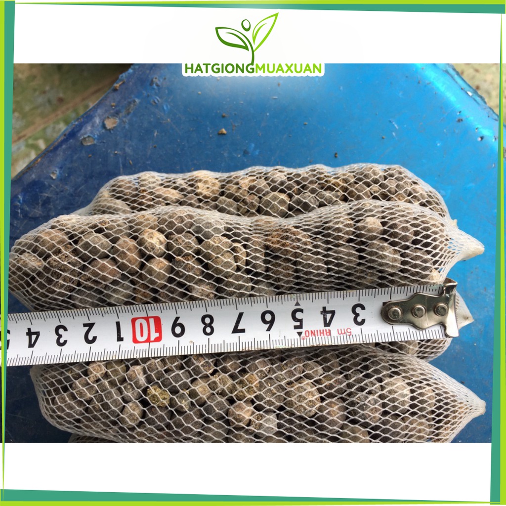 [SIEURE] Combo 30 túi phân dê ủ nấm trichoderma dài 15cm hàng đẹp, phân phối chuyên nghiệp.