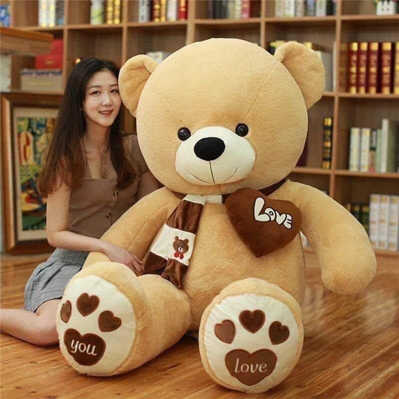 Gấu Teddy Nhồi Bông Cỡ Lớn Khăn Thêu Xinh Xắn Đáng Yêu