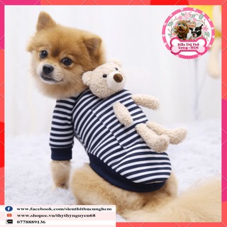 🐻🐼🐻 Quần áo chó mèo phiên bản gấu teddy 🐻🐼🐻