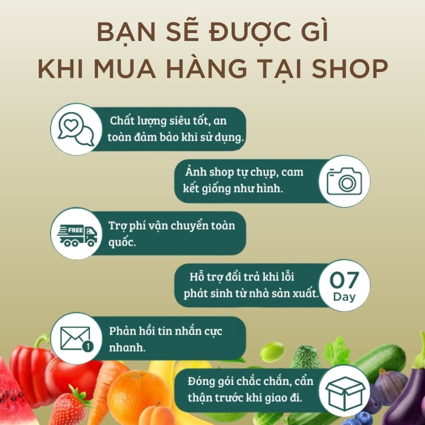Combo 2 và 3 đĩa sứ cầu vồng 18 20 23 cm ANPER cao cấp sang trọng chén dĩa 7 màu