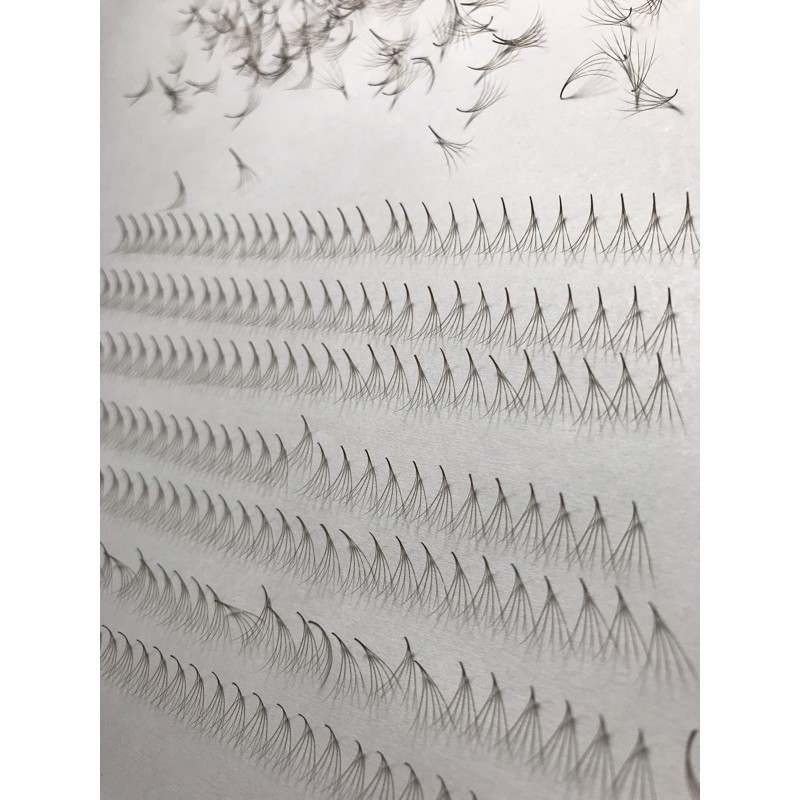 Mi fan nâu 5D 1000 fan