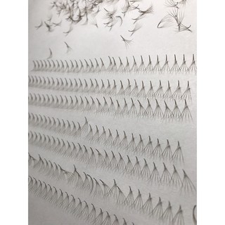 Mi fan nâu 5D 1000 fan