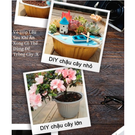 Lẩu Tự Sôi - Vị Bò Tê Cay - Lẩu Trùng Khánh Chính Hãng - HCM -Có Hàng Sẵn | BigBuy360 - bigbuy360.vn