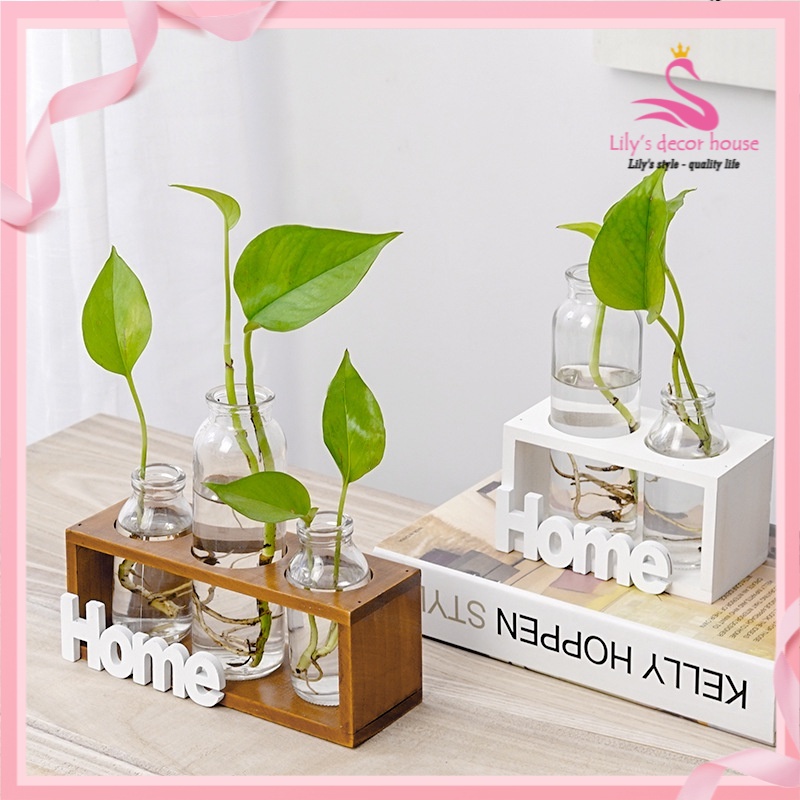 [Mẫu mới về] Bình Hoa Thủy Tinh Home Đơn Giản trồng Cây Thủy Canh  Cắm Hoa decor Trang Trí Nhà Phòng Khách