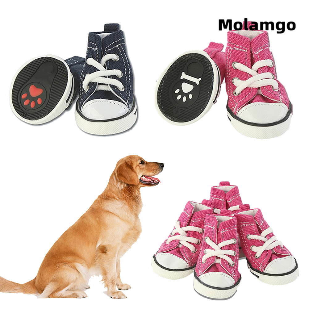 Giày MOLAMGO Thời Trang Cho Thú Cưng