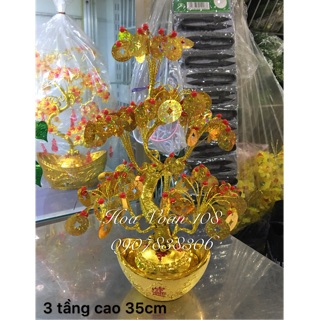 Cây đồng tiền gắn hột 35cm ( cây kim sa)