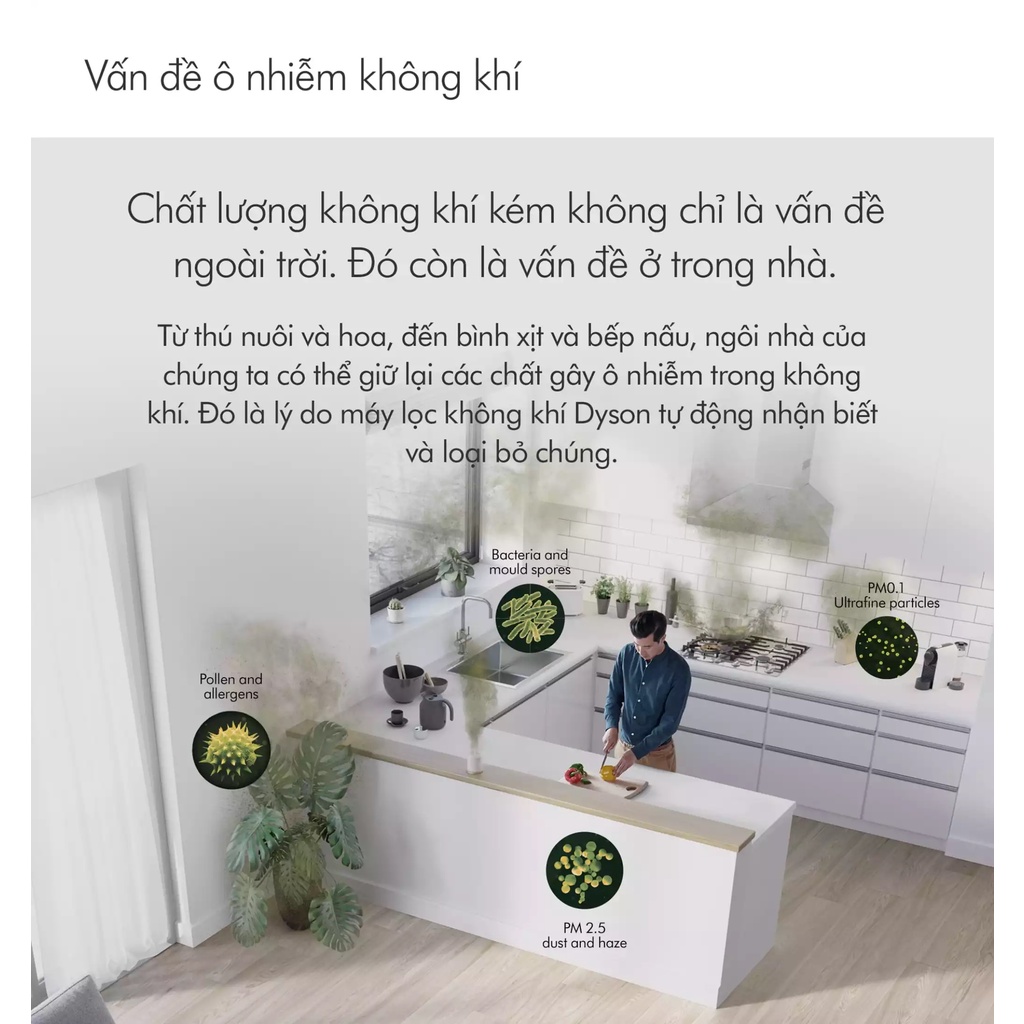 Máy lọc không khí Dyson TP09 - Purifier Cool Formaldehyde