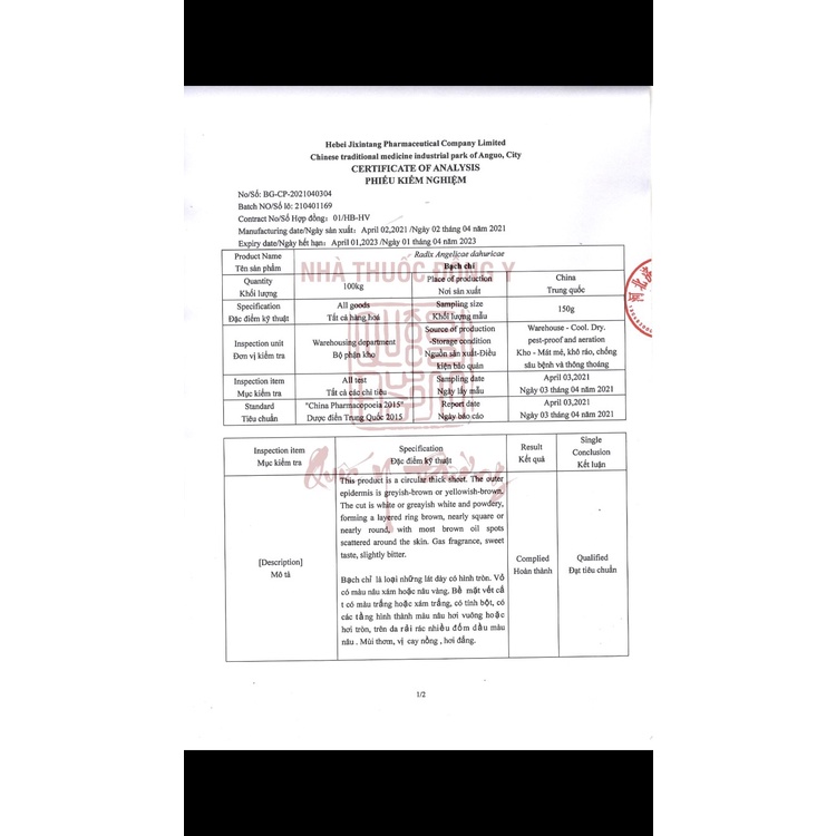 Bạch Chỉ Sơn Đông