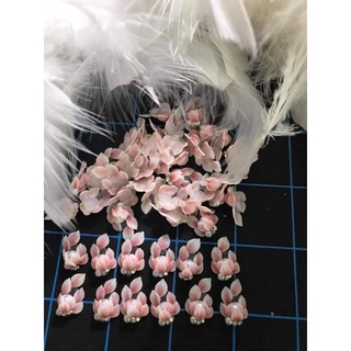 combo 20 hoa bột nail