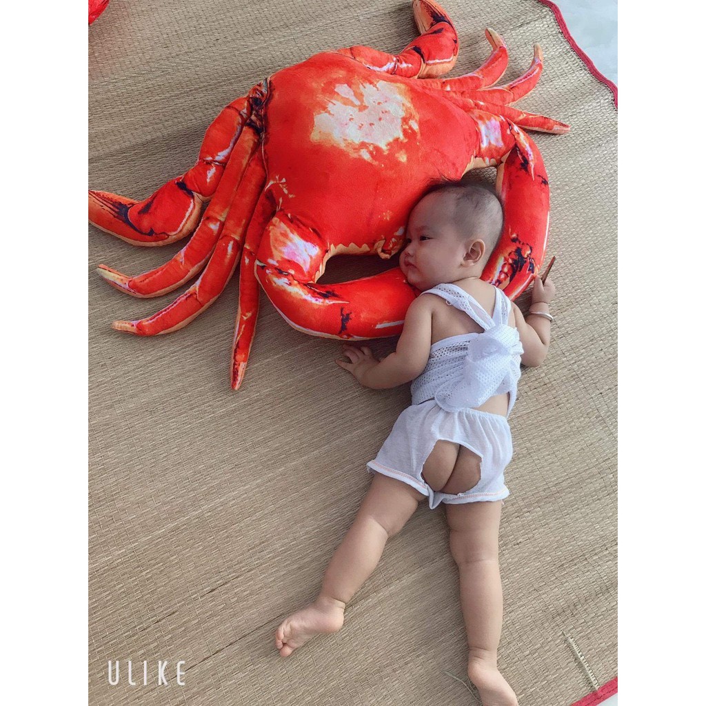 Gấu Bông Hình Tôm Hùm Và Cua Đỏ 3D Siêu To Size 80cm [ Diabrand ]