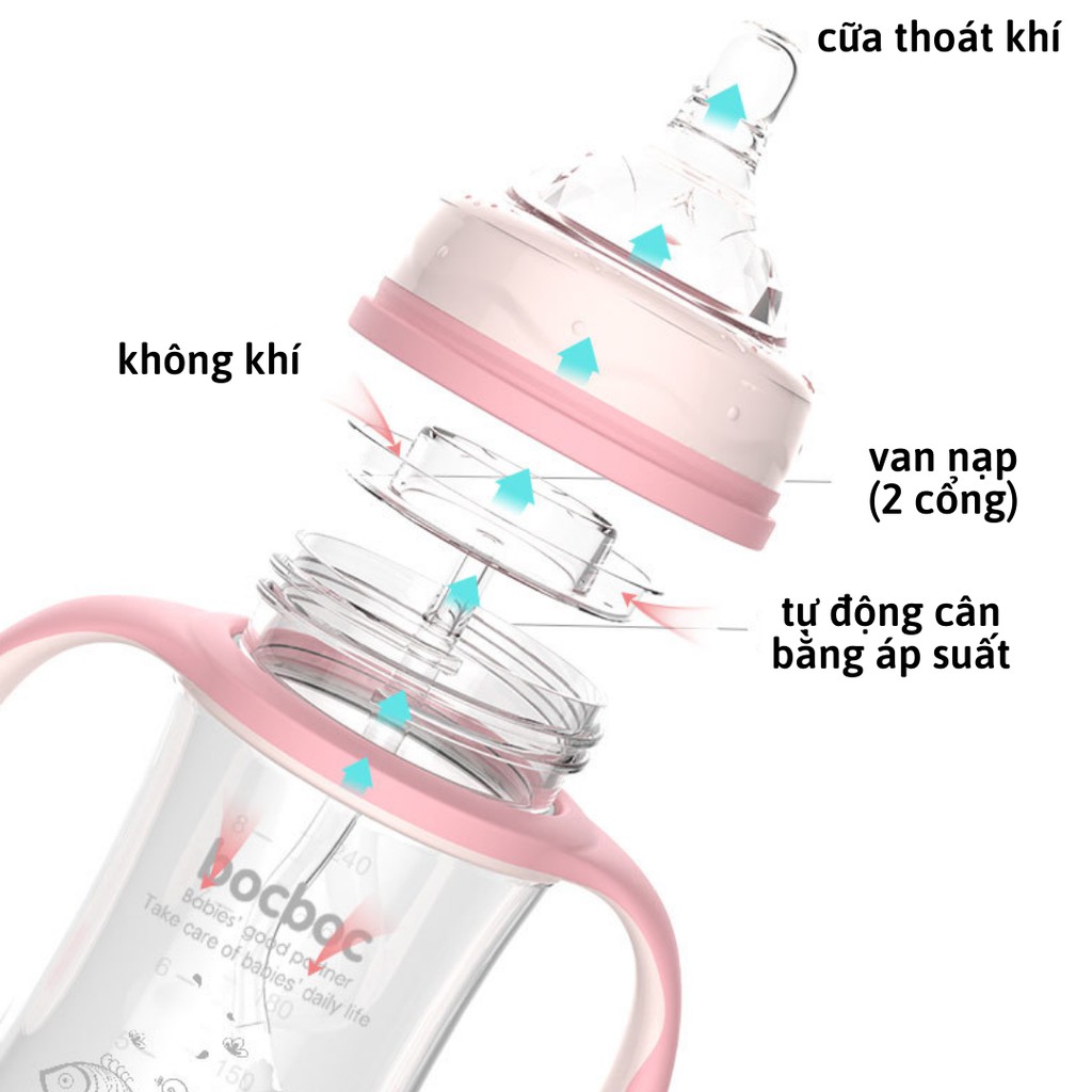 Tặng thêm 1 n.úm-Bình sữa, Bình nước bocboc 3 trong 1 có tay cầm cho bé-dung tích 240ml-300ml
