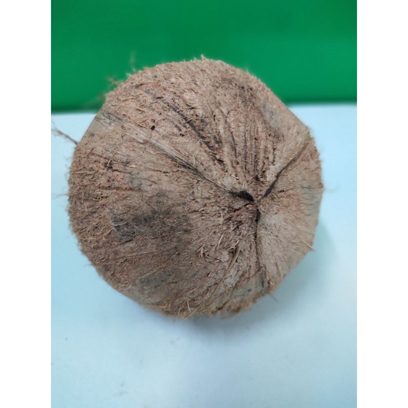 Dừa khô Bến Tre 800g - 1kg/trái