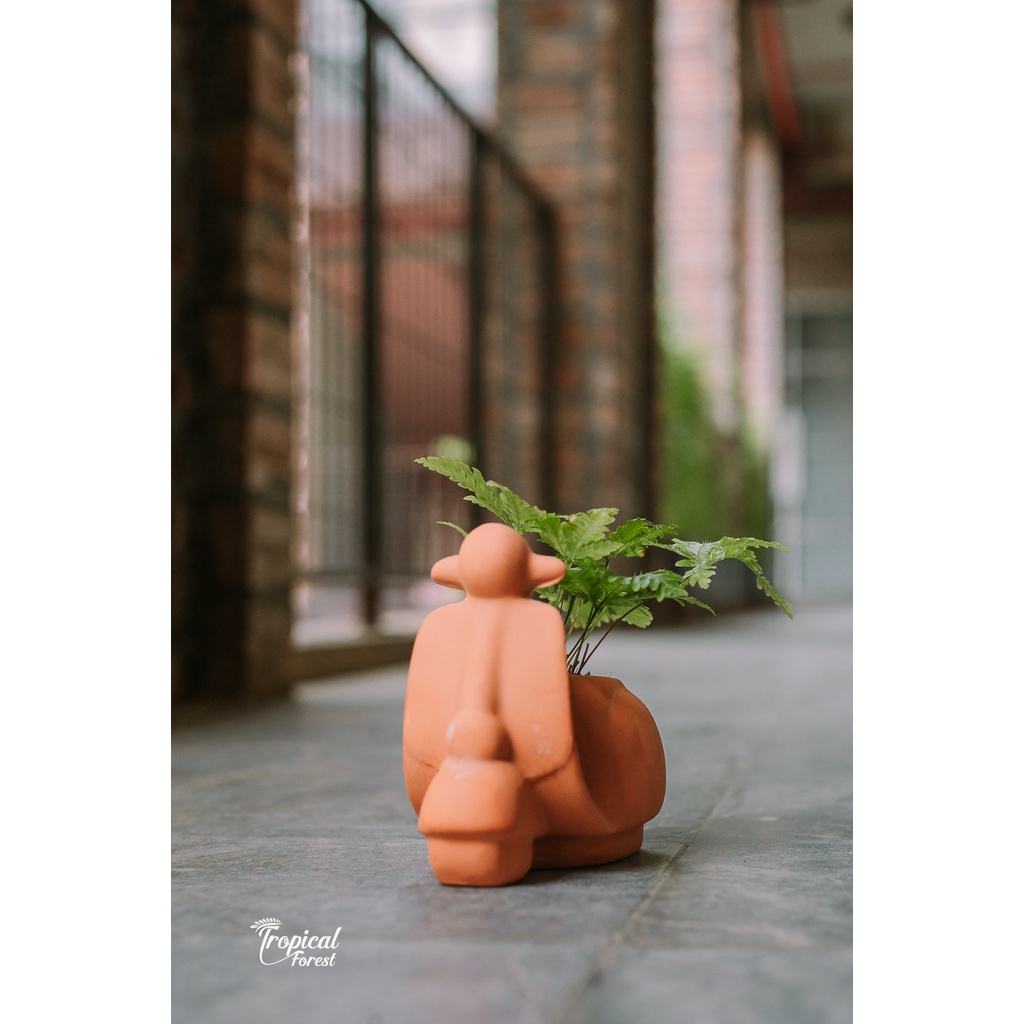 Chậu đất nung Vespa tay ga lượn lờ đánh võng TROPICALFOREST