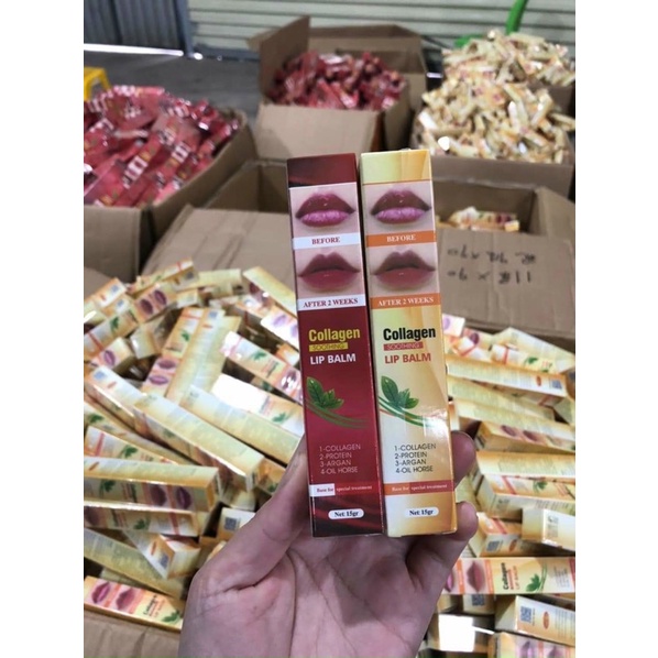 Son dưỡng kích màu môi collgen
