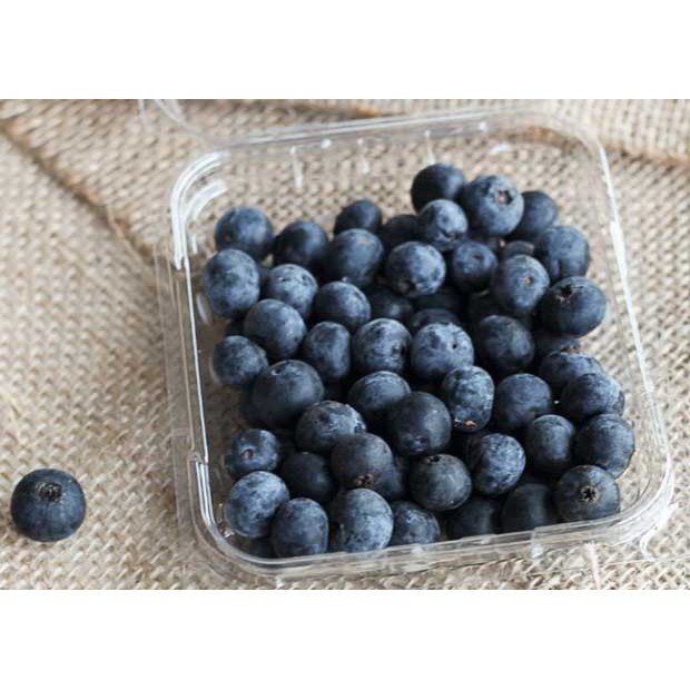 1 Hộp Việt quất đông lạnh 500gr NTFood - Nhất Tín Food