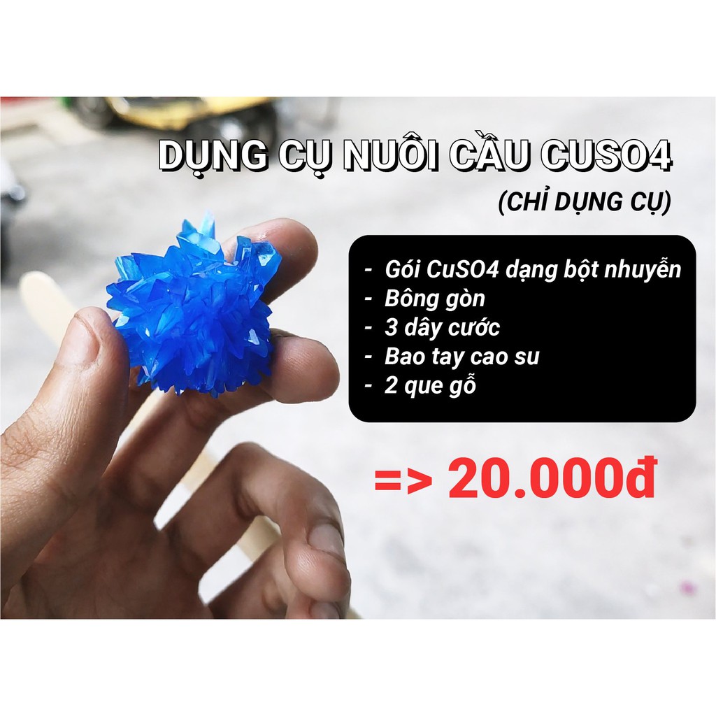 Bộ dụng cụ nuôi tinh thể cầu đồng sunfat (CuSO4)