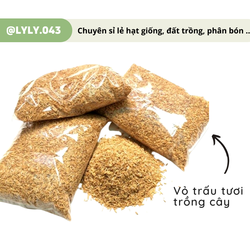 TÚI 500G - Vỏ Trấu Tươi (trấu sống màu vàng) trộn đất trồng, tơi xốp đất trồng rau, hoa