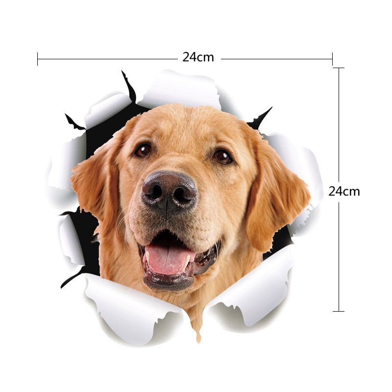 Tem dán xe ô tô 3D, Đề can dán xe- che vết xước, trang trí xe hơi