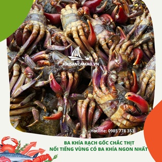 BA KHÍA CÀ MAU TRỘN SẴN