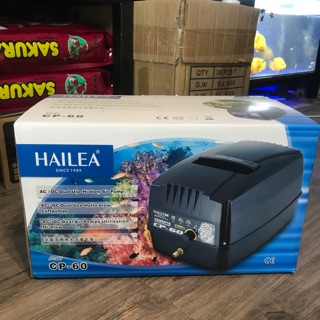 Máy Sủi Oxy Lớn Hailea CP60 Có Tích Điện
