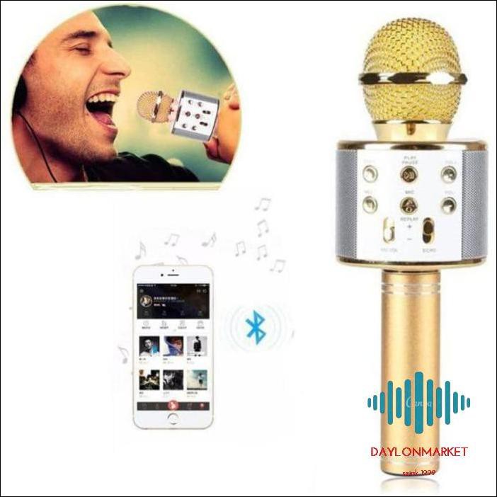 Micro Hát Karaoke Wster Ws 858 Kết Nối Bluetooth
