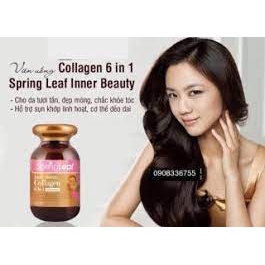 Collagen Springleaf 6 in 1, Viên Spring leaf inner beauty colagen 6-IN-1 advance 4.9, 90 viên ÚC
