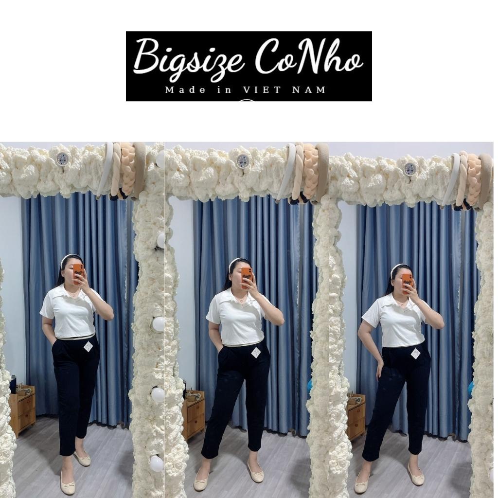 Quần dài Baggy bigsize nữ, Quần dài bigsize nữ Hàn Quốc BAGGY