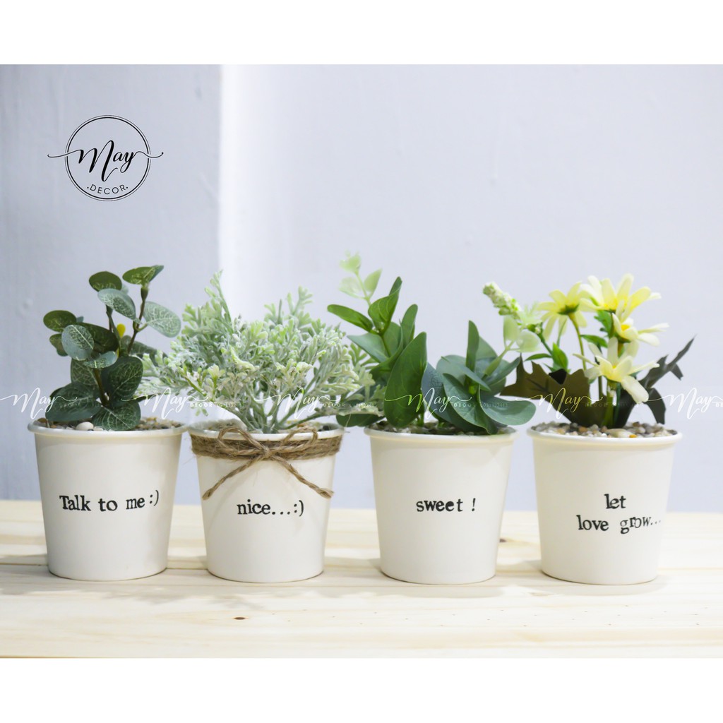 Cây giả, chậu cây mini xinh xắn chậu giấy
