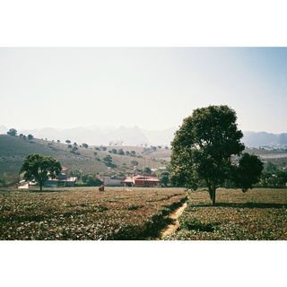 Máy ảnh film Nikon AF600