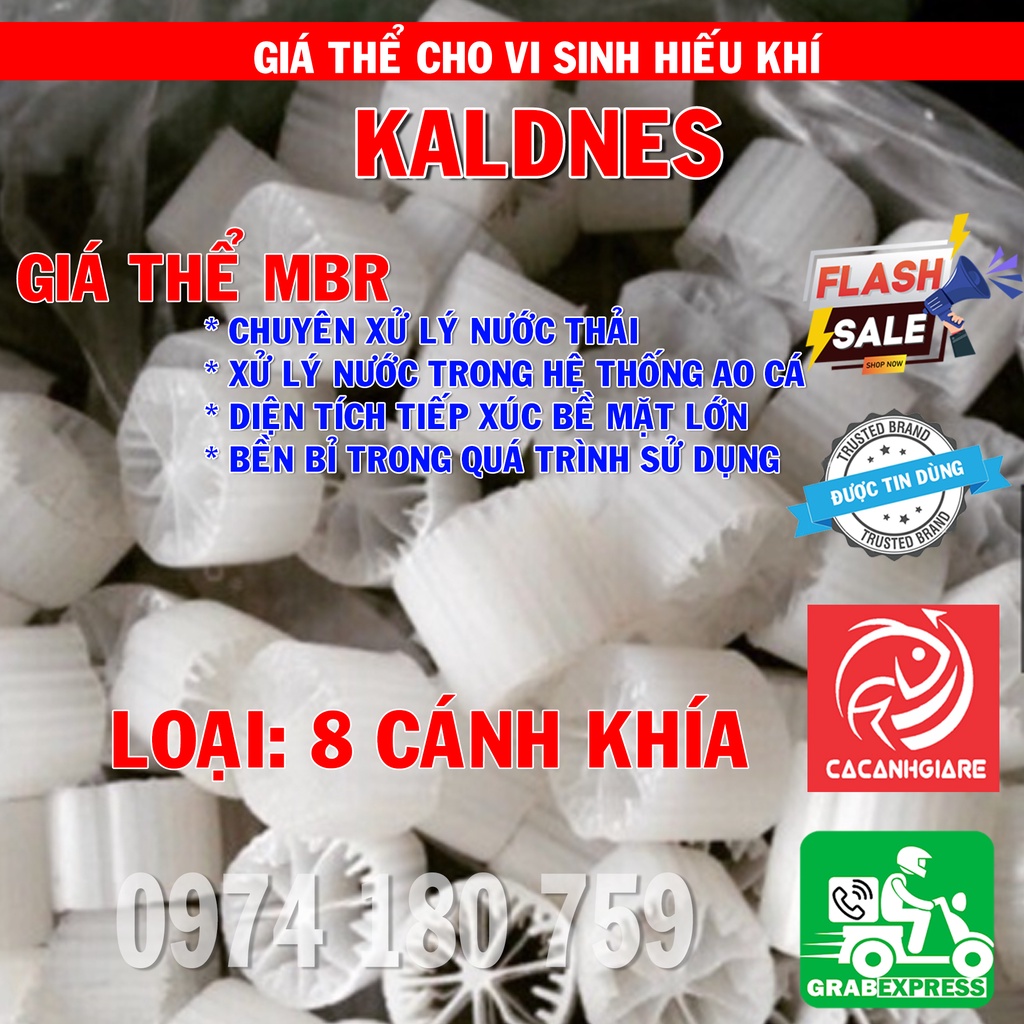 HẠT KALDNESS - Gíá Thể Vi Sinh Xử Lý Nước